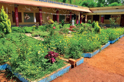 Veggie garden at this Dakshina Kannada government primary school will soon start generating revenue to improve infrastructure, build toilets