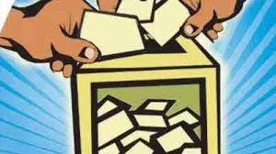 Delhi MCD Elections 2022 Updates: 'More than 35% candidates in MCD polls graduates'