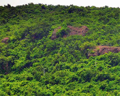 Palghar: 155 acres of forest to make way for water project