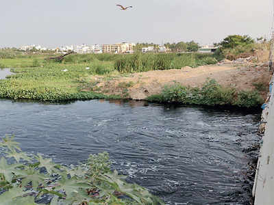 Disappearing Act: Rampura Lake is being buried by debris