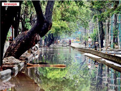 Floody nuisance: At least 10 trees were uprooted and several low-lying areas were flooded