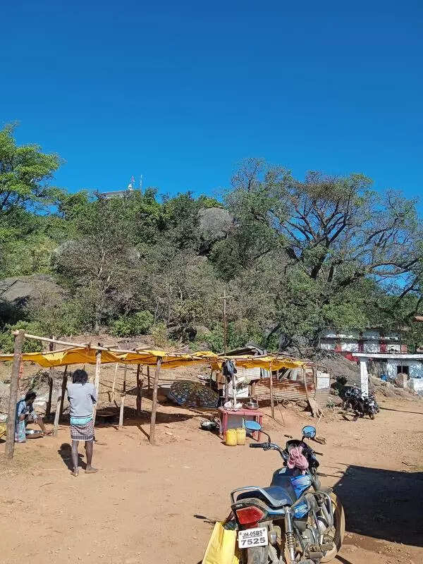 Tiger ‘terror’: Less footfall likely at Dalma temple