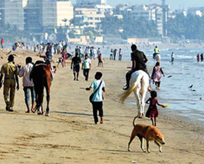 Versova beach makeover gets Mumbai a new beach