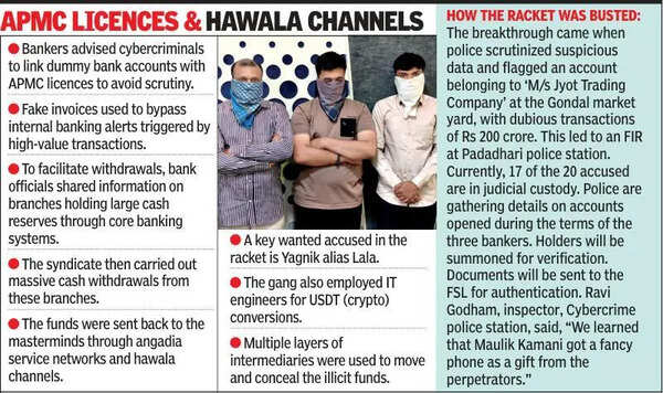 Digital loot scale: Rs 25,000,000,000