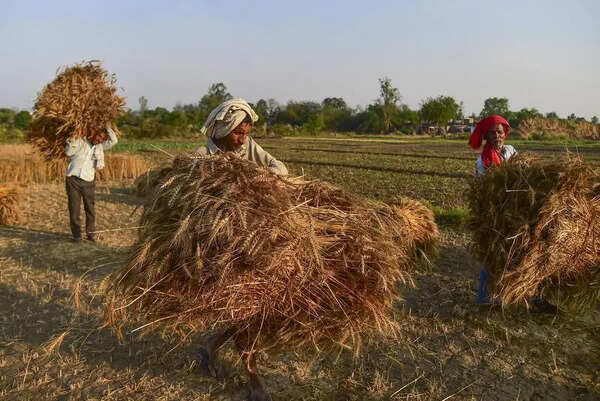 Rain, winds turn weather pleasant; farmers worried