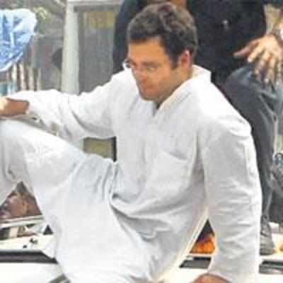 Cong mantris line up in UP, at Rahul's command