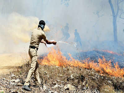 Lessons from Bandipur blaze: Forest department starts fire fighting