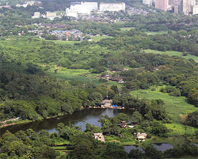 Aarey colony declared eco sensitive zone