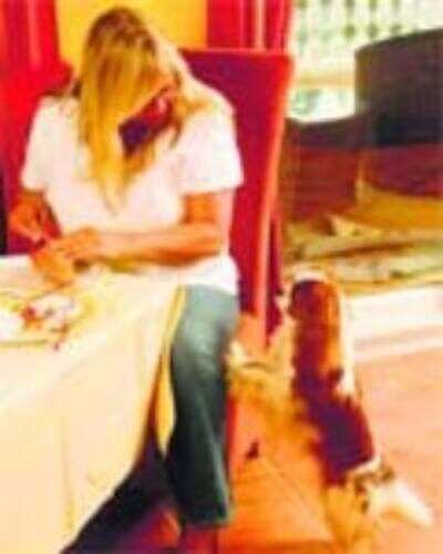 Are dogs telepathic?