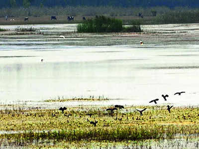 Lake pollution: Industries must shell out Rs 142.25 crore in fines