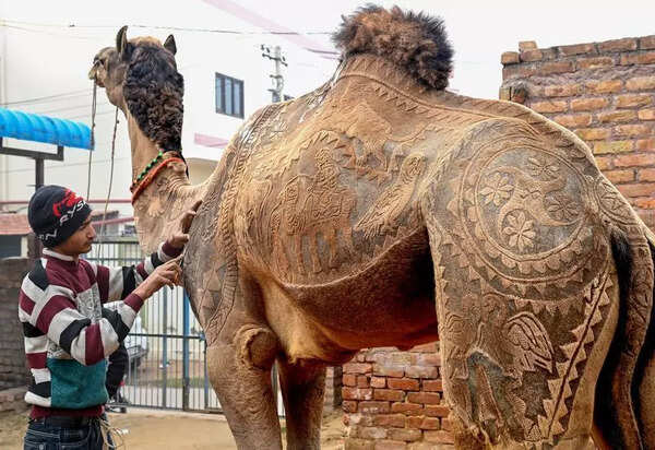 A festival celebrating cultural memory through living art