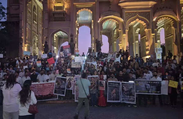 Jaipurites push back against the SC order on community dogs