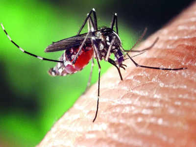 Dengue stings, Bengaluru South Zone hit worse