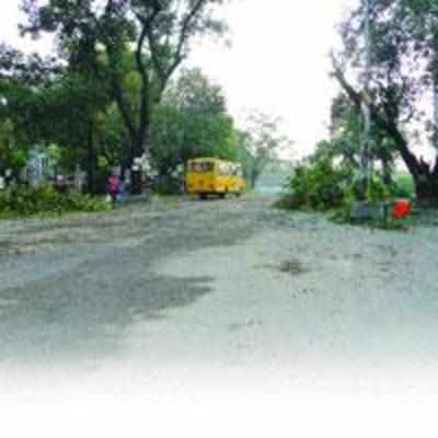 Eighteen trees collapse due to gusty winds on Thursday