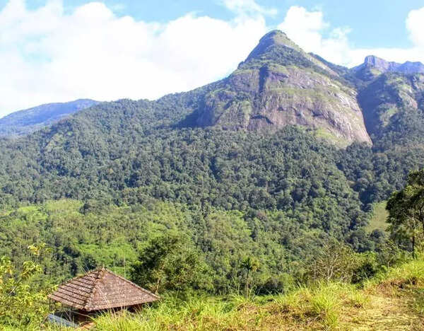 Kerala govt files caveat in SC over plea against Wayanad tunnel