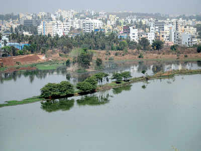 Palike’s plan for Mallathahalli Lake raises wall of contention