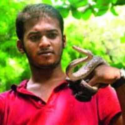 Three ft long Montane trinket snake rescued