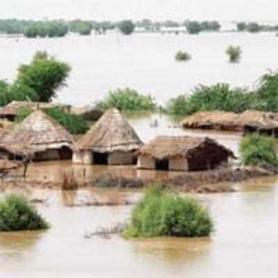 Accept India's flood aid offer, US tells Pakistan