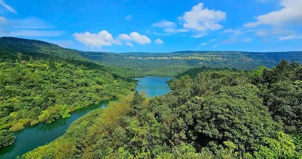 Maharashtra govt’s proposal to exclude 17 villages from Sahyadri Tiger Reserve plan raises alarm over threats to tiger corridor and environment
