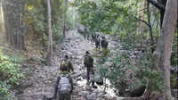 On menu for Bijapur ops forces: Maoists, tigers, and sloth bear