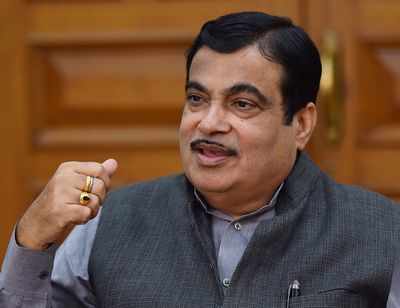 Nitin Gadkari: Cow vigilante groups are not our people