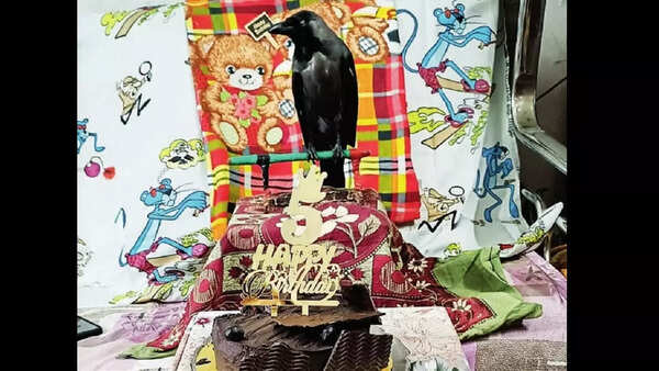 Mumbai: Kuku the pet kawala turns 5 with ‘Grace’