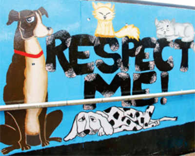 Make a difference: Furry friends call out to commuters in Bandra