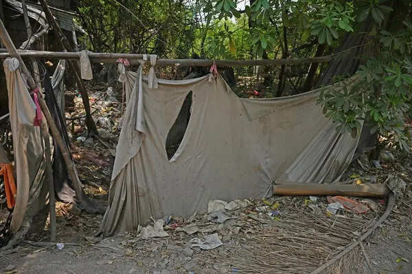 Illegal Bridges Cut Through Natural Nullah, Reduce It To A Stinking Undercurrent In East Shankar Nagar