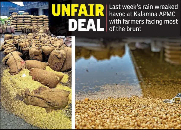 Unseasonal rain exposes one-sided APMC norm leaving farmers vulnerable