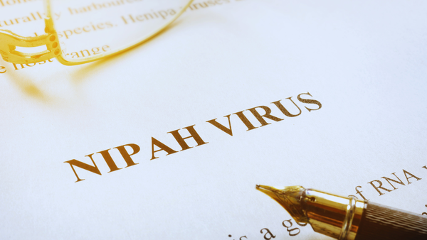 Nipah Virus infections: West Bengal cases prompt screening across these airports