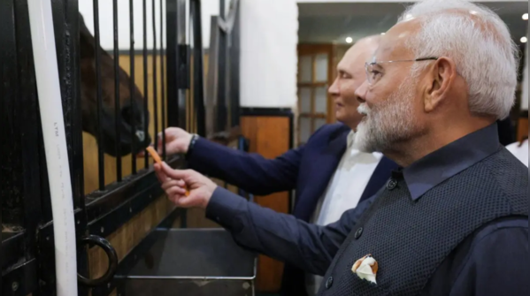 Golf cart ride, tea meet & horse show at stables: Top 10 Modi-Putin ...