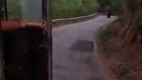 Watch: Driver goes in reverse as tusker chases bus down hill road 