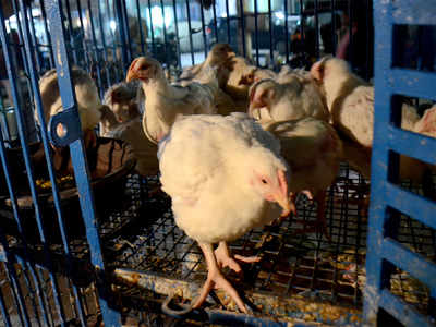Chicken goes off the table at all-time high of Rs 220/ kg
