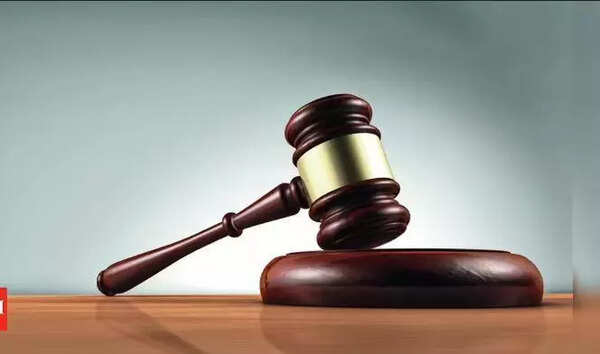 ‘Ensure lawful probe into Anna Nagar child rape case’