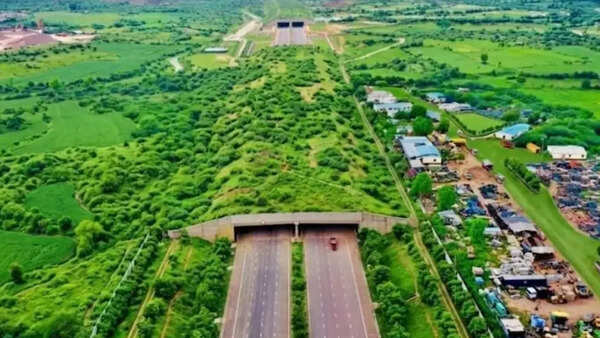 India’s longest wildlife overpass opens on Ranthambore stretch of Delhi–Mumbai Expressway