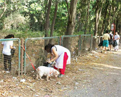 Residents team up with government to plant saplings, clean up land