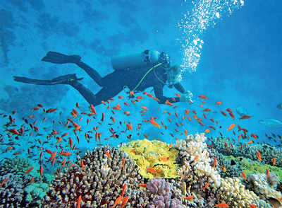 Mangaluru: Karnataka to have more scuba diving destinations
