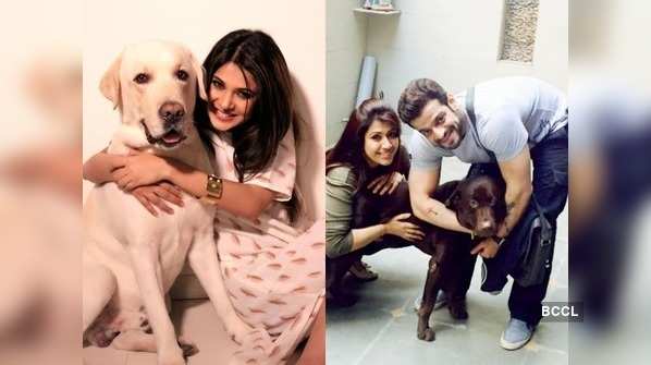 ​From Jennifer Winget to Karan Patel; TV stars who are proud parents to pets