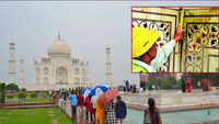 Insects leave green & black stains on Taj Mahal marble 