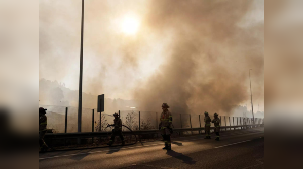 ​Chile forest fires move into populated areas, kills at least 46