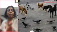 Shocking: NGO staff, out to catch dogs, thrashed by locals in Delhi 