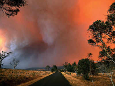 Australian reservists called to fight wildfires