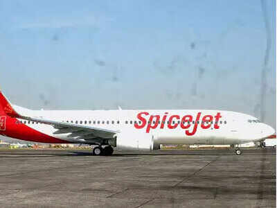 SpiceJet brings back 269 stranded Indians