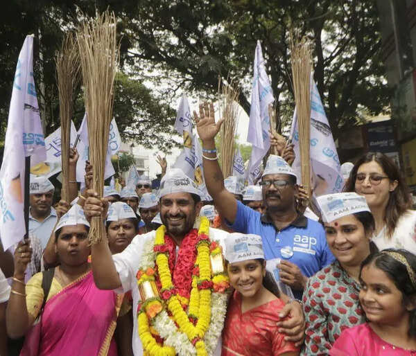 Beyond BJP & Cong: Newer parties seek votes over civic issues