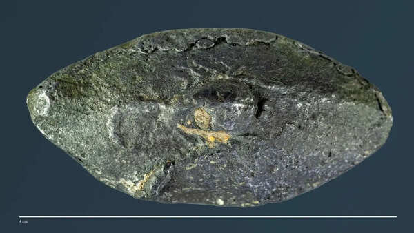 This ancient bullet carried a secret 2,100-year-old Greek word that shocked experts worldwide revealing ‘sarcastic’ war message