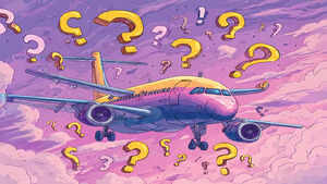 Boarding Now…Queries For IndiGo Board