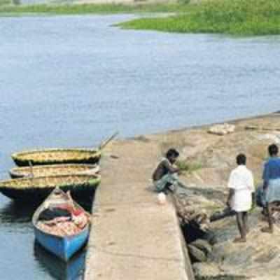 Cauvery to flow freely in TN