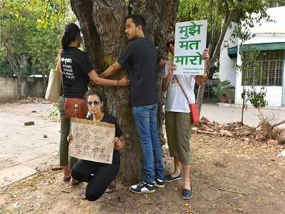 Delhi High Court stays cutting of trees till July 4