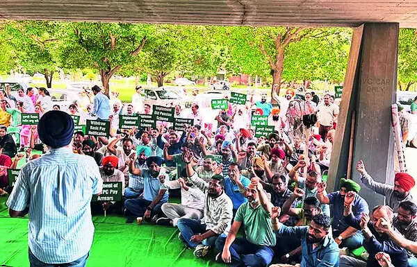 PAU, Gadvasu faculty take to protest for pay revision