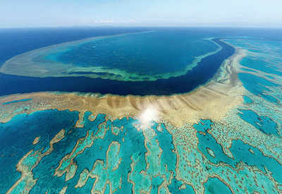 Good news: Great Barrier Reef can be saved. Bad news: It will cost $6.3bn